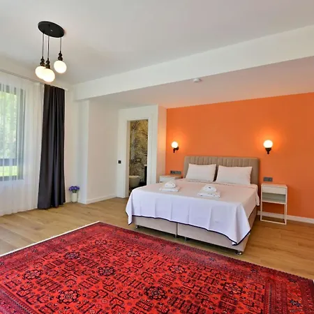 Begonvilla Goecek Goekceovacik 빌라